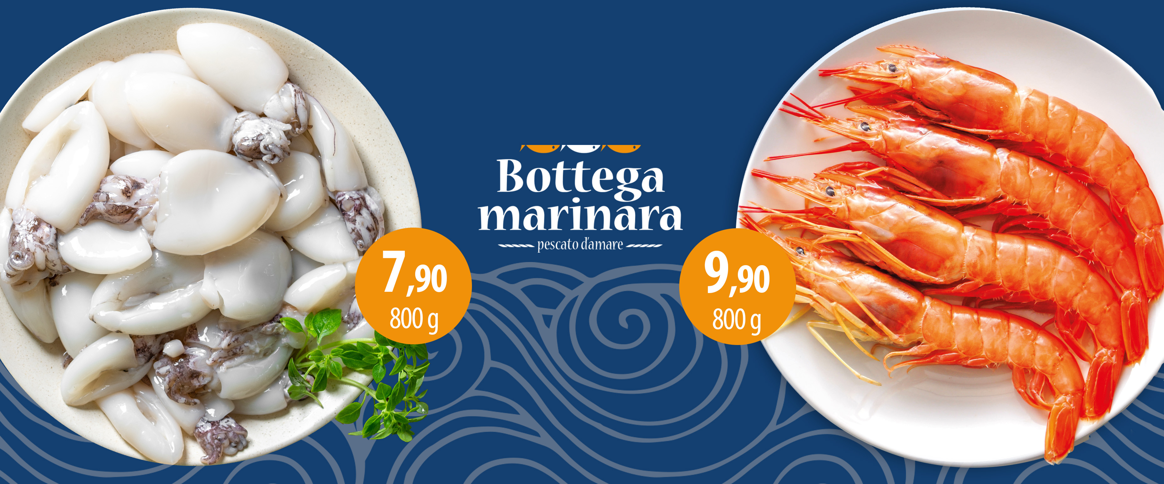 Scopri le offerte del mese